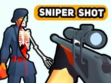 Sniper Shot: Bullet Time